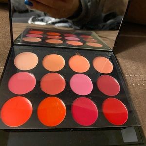 Ish cosmetics lip palette